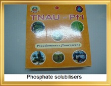 Phosphate solubiliser